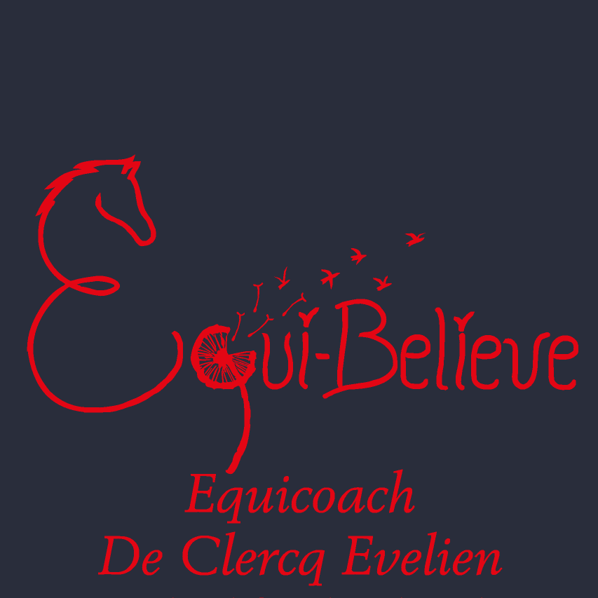 Equicoaching-Equi-Believe coaching