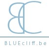 Verkoopscoaching-BlueCliff