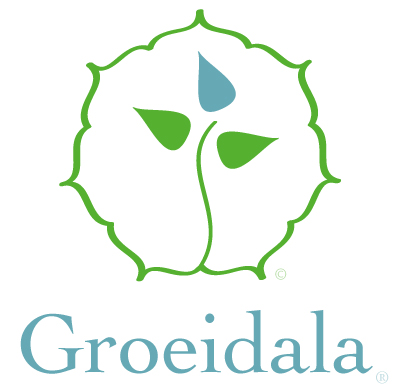 Spirituele coaching-Groeidala